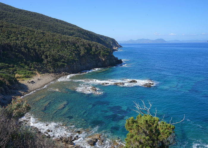 Maria Island Extended Wilderness Loop, TAS – Tour & Trek