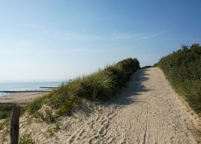 Northern Germany Coastal Heath and Beach Walks, Tour & Trek