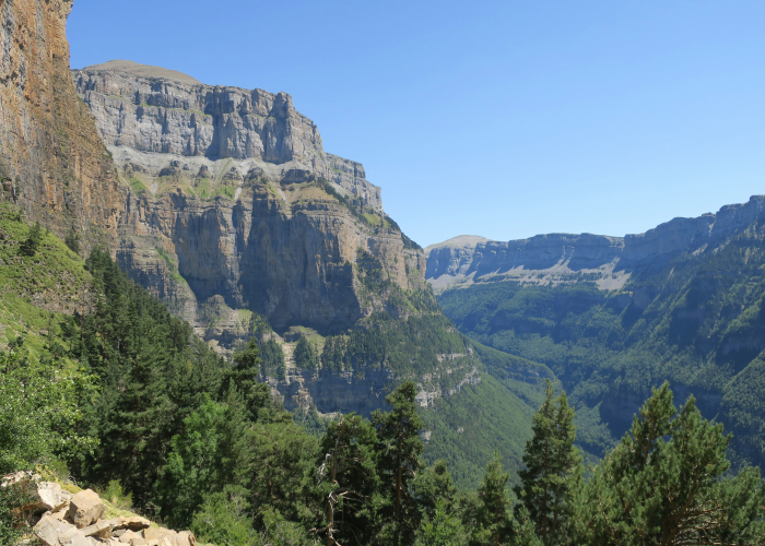 Blue Mountains Three Sisters & Canyon Walks – Tour & Trek