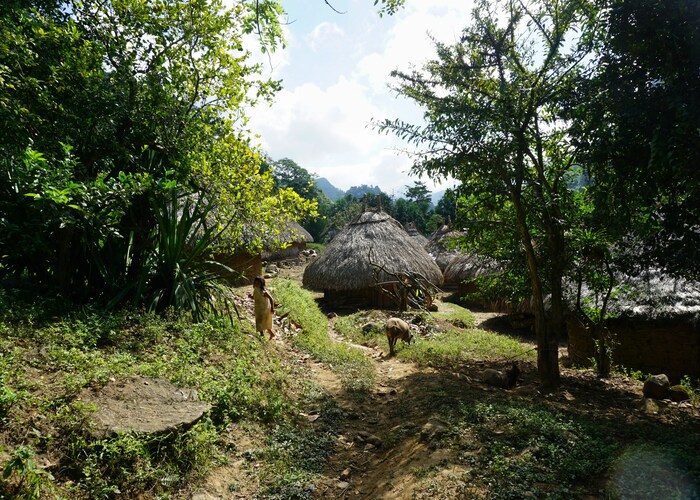 Purnululu (Bungle Bungle) Range Dome Walk WA, Tour & Trek