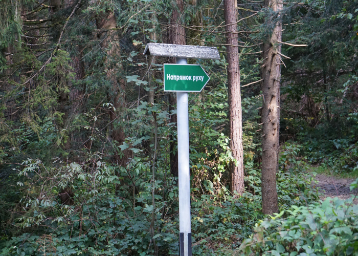 Waldskulpturenweg (Forest Sculpture Way) along Rothaarsteig, Tour & Trek [2026]