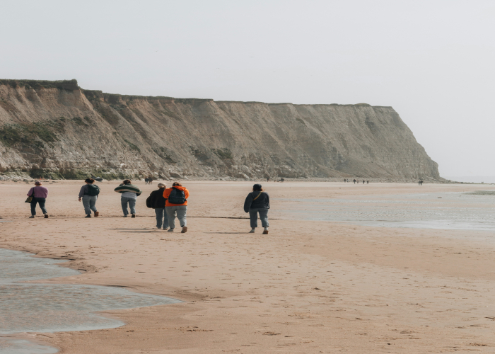 Twelve Apostles Coastal Cliff Walk – Tour & Trek Guide