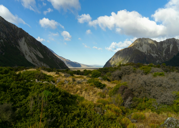 Three Capes Track, Tasman Peninsula (48 km) – Tour & Trek