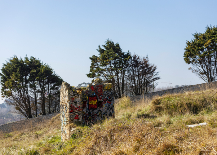 Arnhem Land Indigenous Cultural Rock‑Art Walk NT: Tour & Trek Guide