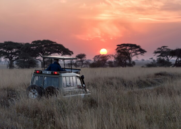 Grand Wilderness Escapes: High CPC African Safari Tour Packages Explained