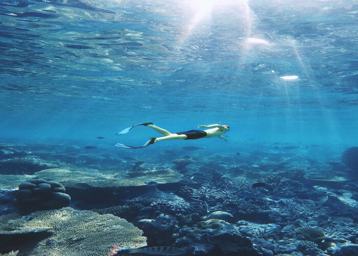 Best Snorkeling Destinations in the World: Dive into Nature’s Underwater Wonders
