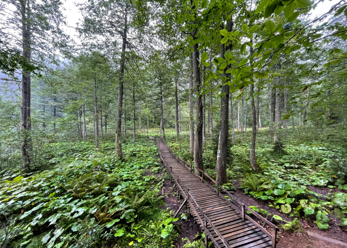 Spessart Forest Trails & Heritage Loops, Tour & Trek