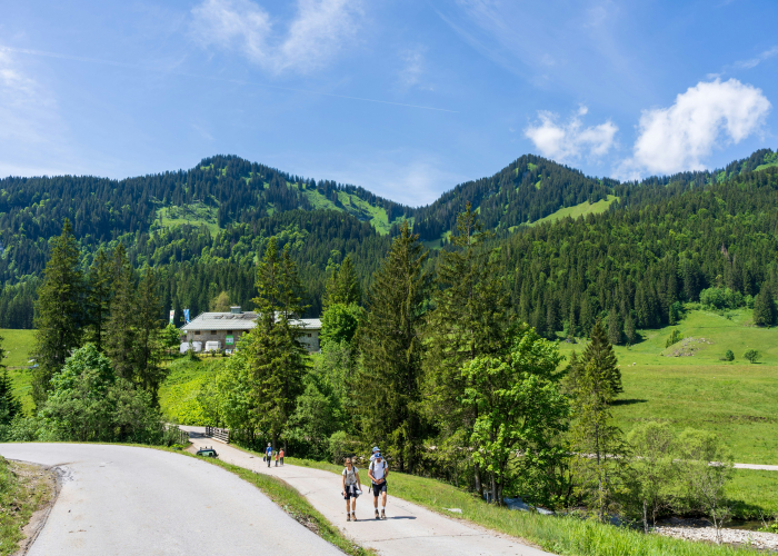 Goetheweg from Torfhaus to Brocken Summit Staycation Collection, Tour & Trek [2026]