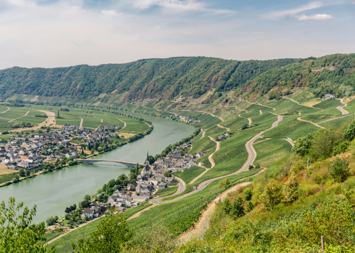 City-to-Village Cycling on Moselle and Rhine, Tour & Trek