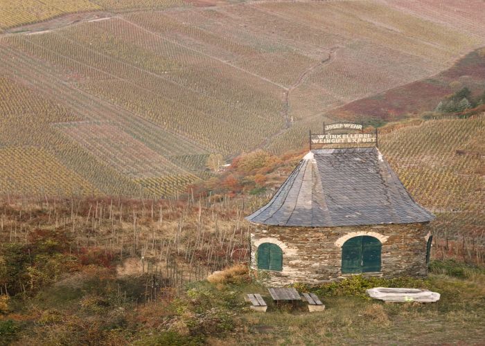 Bernkastel to Traben-Trarbach Vineyard Walk Along the Moselle: Scenic Tour & Trek Guide