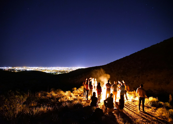 Blue Mountains Night Glowworm Walk NSW: Tour & Trek
