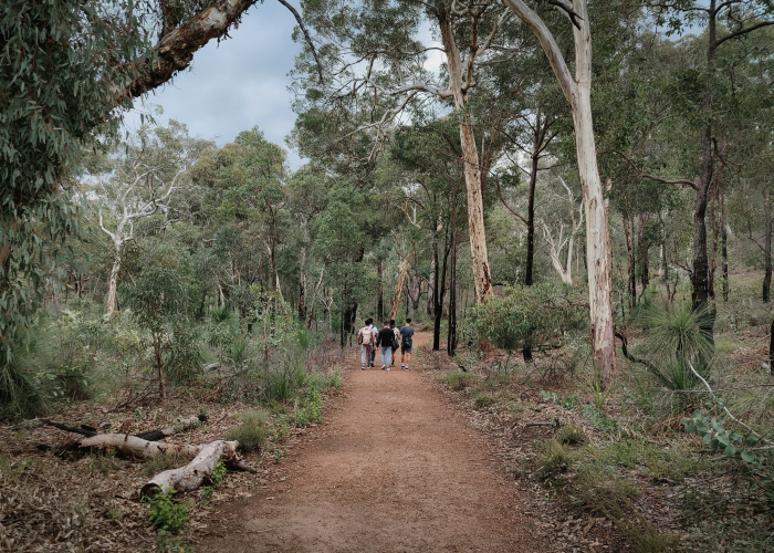 Aboriginal Cultural Songline Walk – Sydney’s Redfern Songline, Tour & Trek