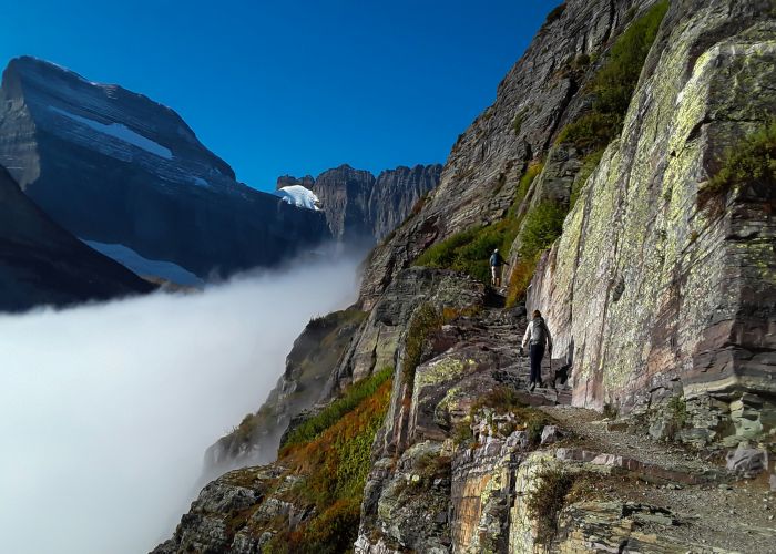 Alpine Adventures & Gorge Walk: Ultimate Tour and Trek Guide