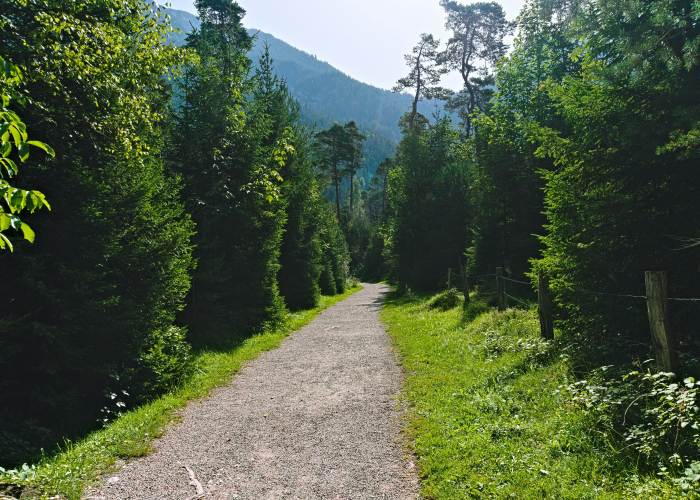 Altmühltal Panorama Path Guided Walks: Complete Guide