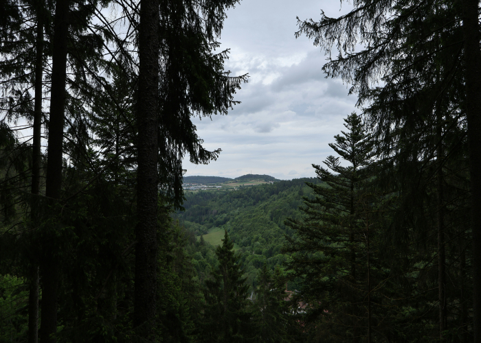 Rennsteig (Thuringian Forest, ~170 km): Tour & Trek Guide [2026]