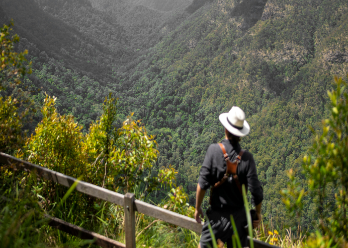 High Country Bogong Yarns Trail – VIC Tour & Trek Guide