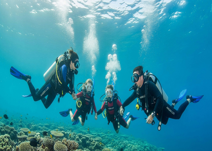 Great Barrier Reef Eco-Walks & Snorkel Tours, QLD – Tour & Trek