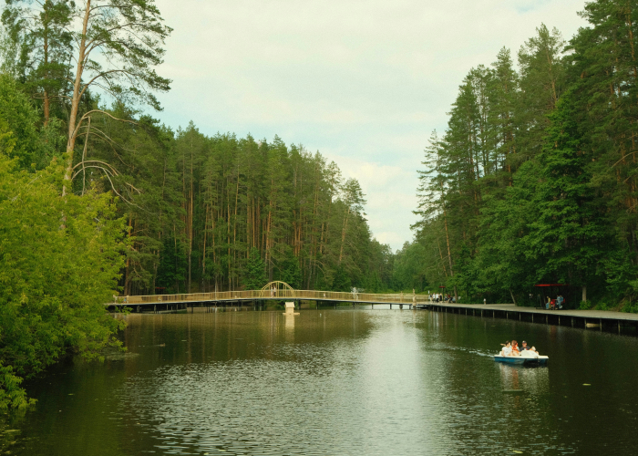 Spreewald Forest Boat and Walking Loop, Brandenburg – Tour & Trek Guide