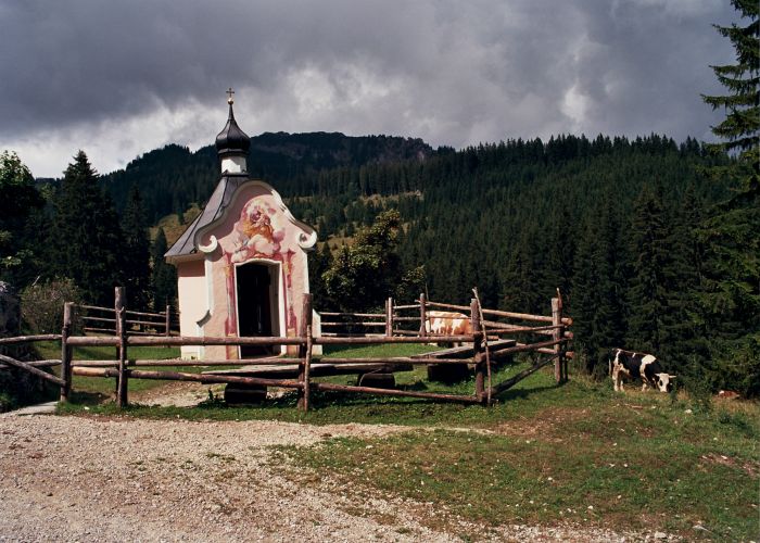 Ettal Monastery & Bavarian Alpine Meadow Walk near Oberammergau: Complete Guide