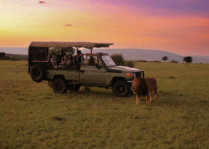 Luxury Wildlife Safaris in Kenya: A Journey Into Nature’s Most Majestic Landscapes [2026]