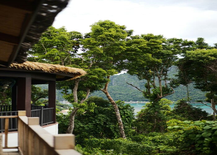 Nature Meets Luxury: Best Eco-Resorts in Asia for Sustainable Getaways