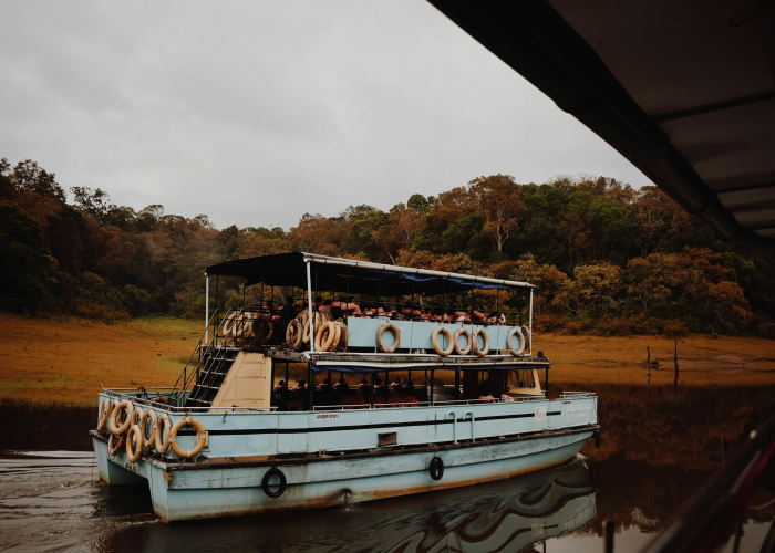 Kakadu Top End Wet‑Season Boat + Art Walk: Tour & Trek Guide
