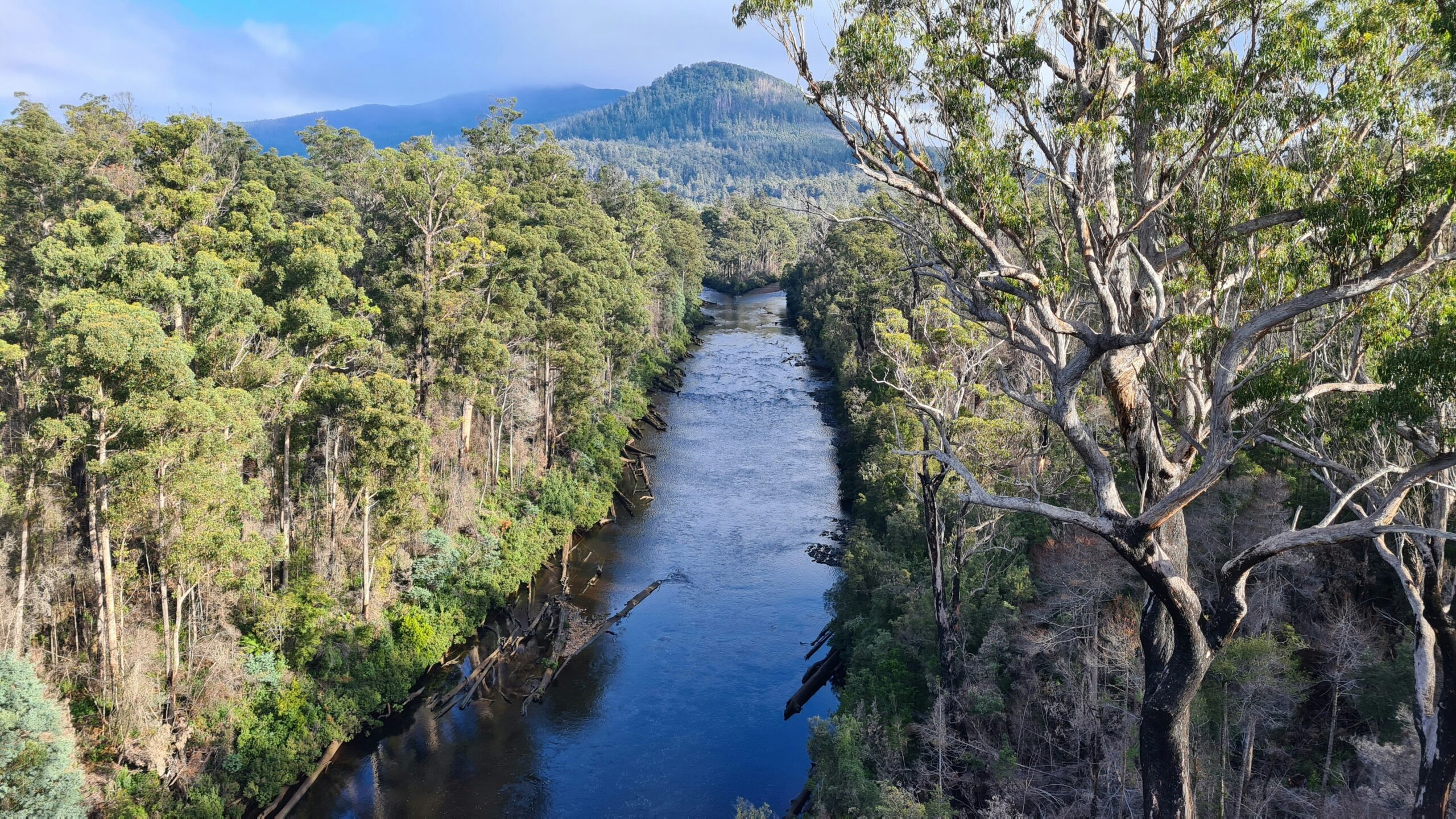 Tasmania’s Gordon River Wilderness Walk: Tour & Trek Guide