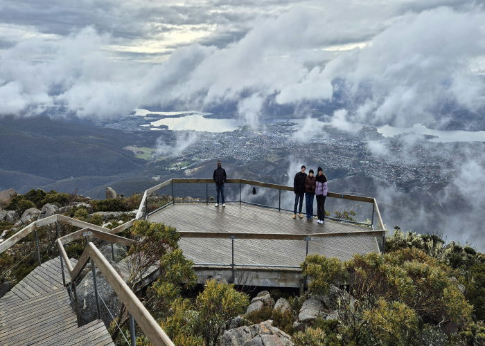 Mt Wellington Summit & City Loop Walk TAS: Tour & Trek Guide [2026]