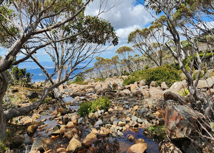 Flinders Island Nature and Beach Treks, TAS – Tour & Trek Guide