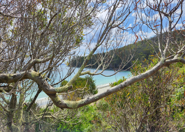 K’gari Great Walk (Fraser Island, ~90 km) – Tour & Trek Guide