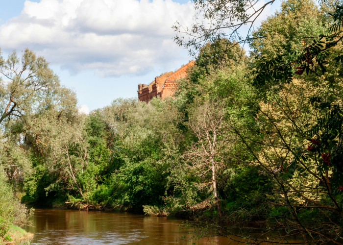 Murray River 4WD and Walking Safaris – Tour & Trek Guide