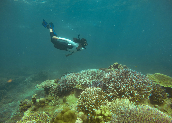 Great Barrier Reef Scuba and Snorkel‑Walk Tours, QLD, Tour & Trek