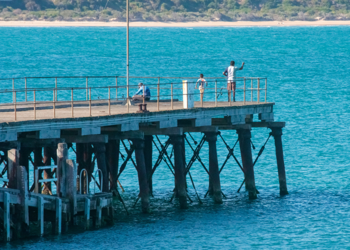 Ross to Coles Bay Coastal Circuit TAS: Tour & Trek Guide [2026]