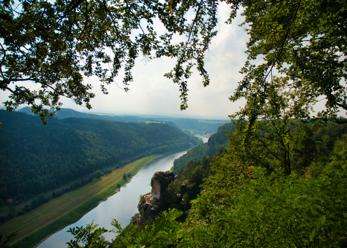 Rheinsteig Long-Distance Trail Along Rhine Gorge (~300 km), Tour & Trek