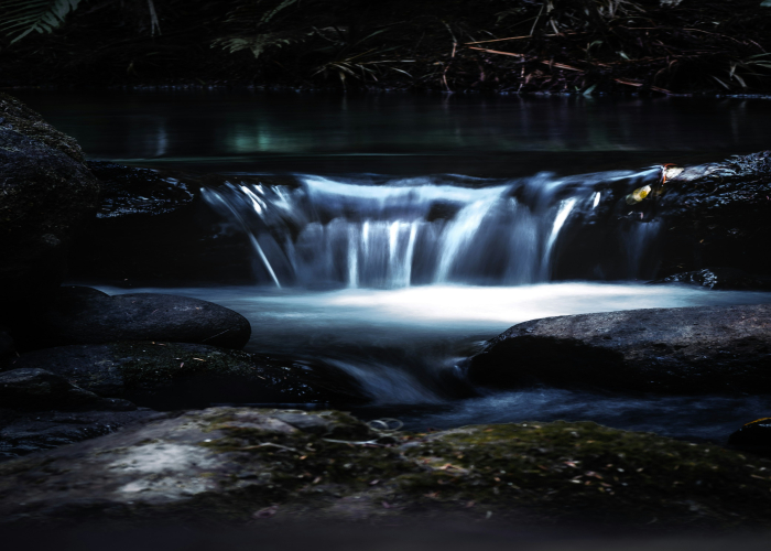 Springbrook Glow Worm & Waterfall Night Walk, QLD – Tour & Trek Guide