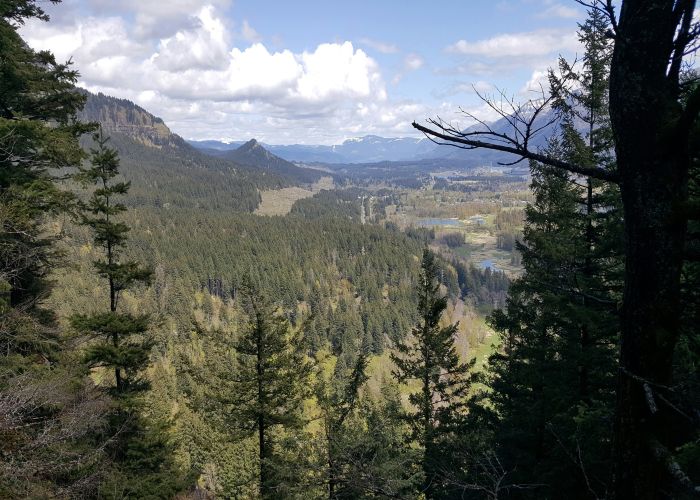 Goethe Trail Viewpoints Near Wernigerode & Quedlinburg: Tour & Trek Guide