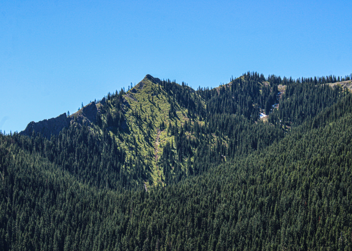 Blue Mountains Grand Cliff Top Walk Guided Hikes, Tour & Trek