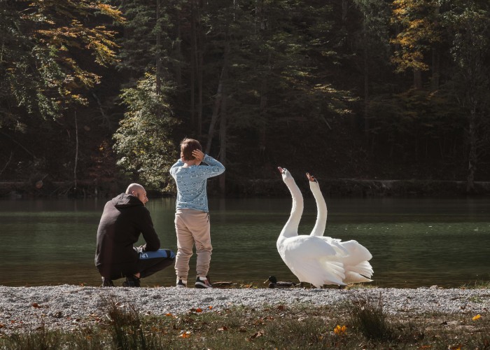 50 Most Popular Boys Names In Austria With Meanings And Origins [2026]