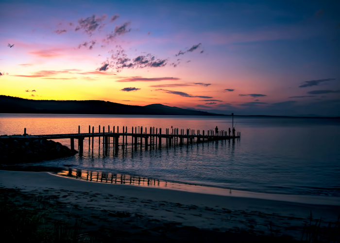 Maria Island Historical Walk, TAS, Tour & Trek