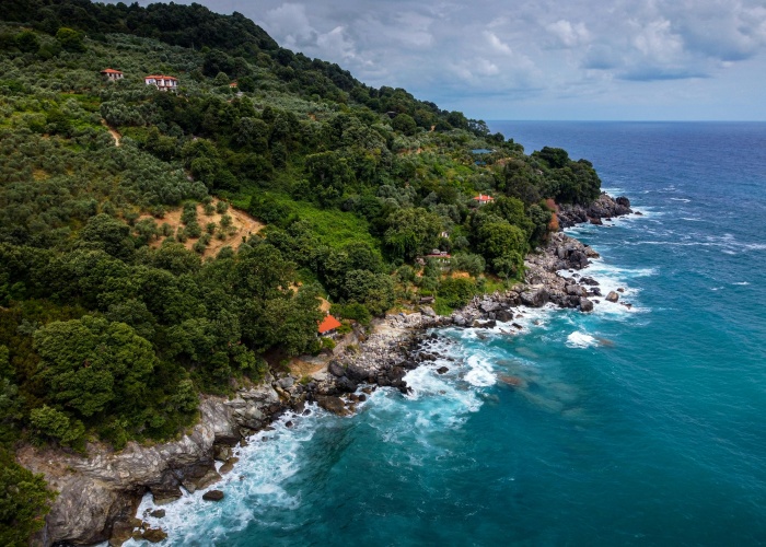 Scenic Rim Walk, Queensland, Tour & Trek: A Complete Guide