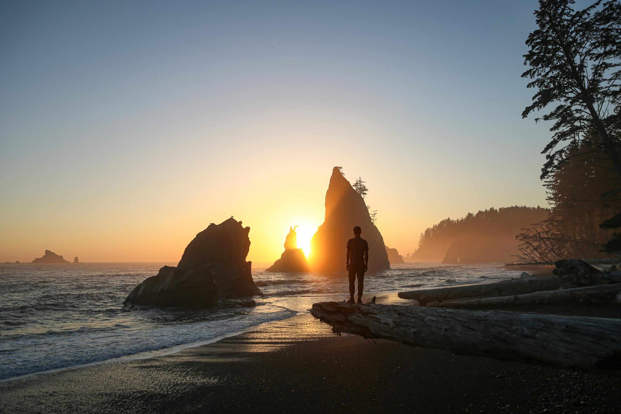 Olympic National Park Coastal Tidepool Hikes, WA: Tour & Trek