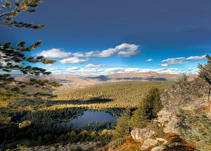 Wildlife, Cultural & Coastal Experiences, Tour & Trek