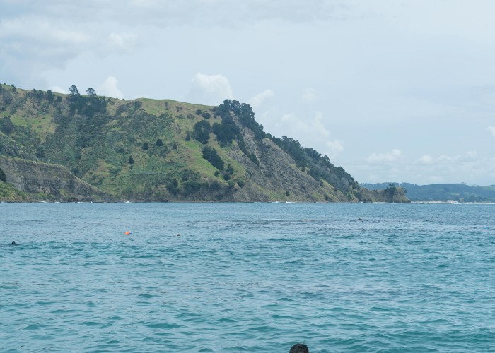 Top 50 Popular Boys Names In New Zealand With Meanings [2026]