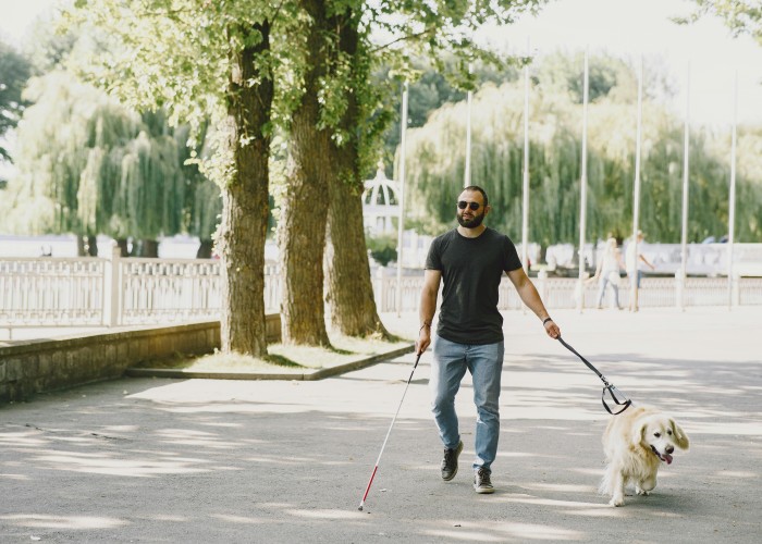 Popular Male Dog Names Fresh Strong Heartfelt Picks A Complete Guide