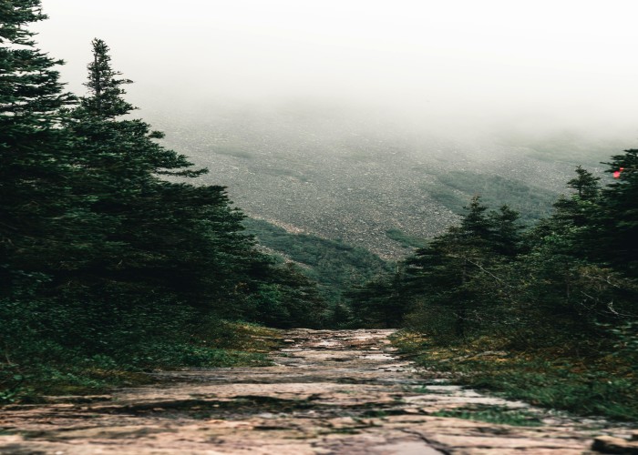 Trail of Ten Falls, OR: Complete Tour & Trek Guide