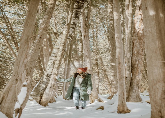 Redwoods Hikes at Lady Bird Grove CA: Tour & Trek Guide