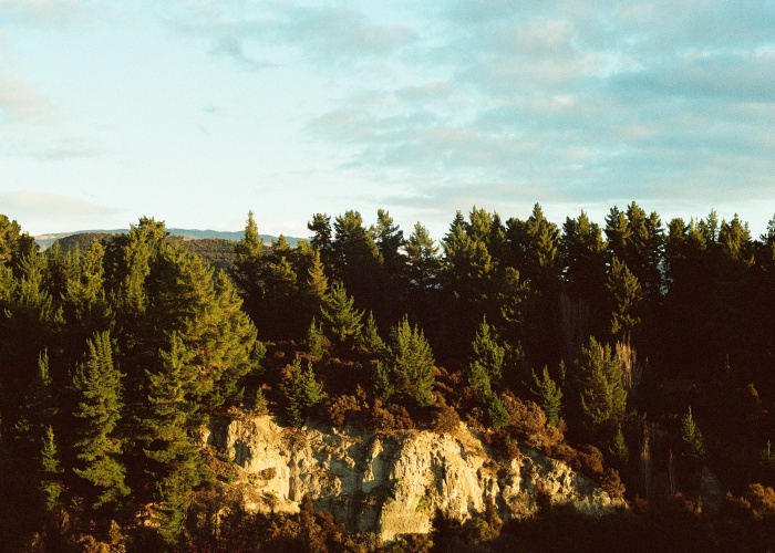 Kakadu National Park Cultural Walks, Tour & Trek: A Comprehensive Guide