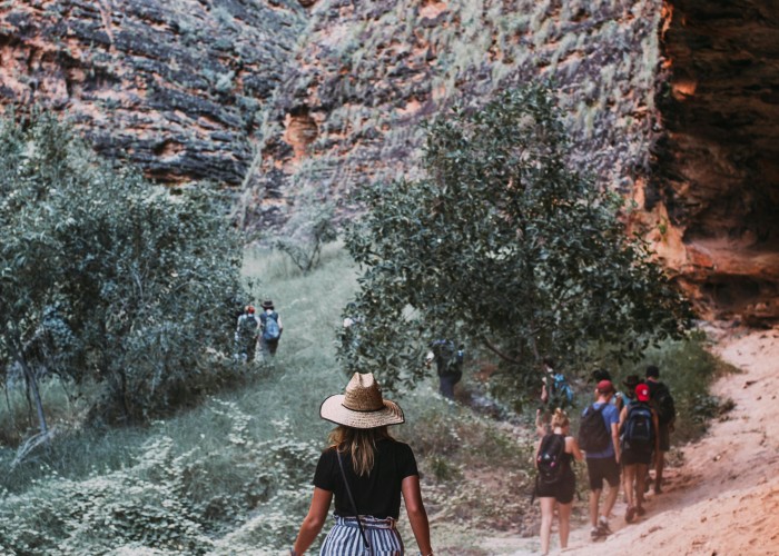 Hoh Rainforest Trails, Olympic NP WA – Complete Tour & Trek Guide