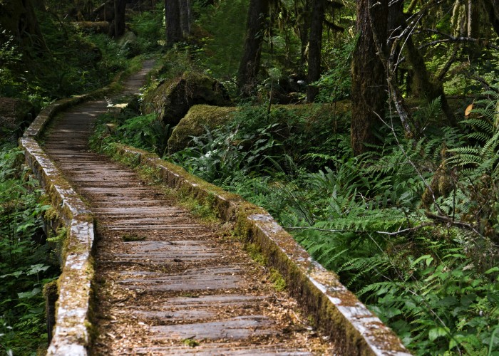 Pacific Northwest & Rainforest Trails, Tour & Trek Guide