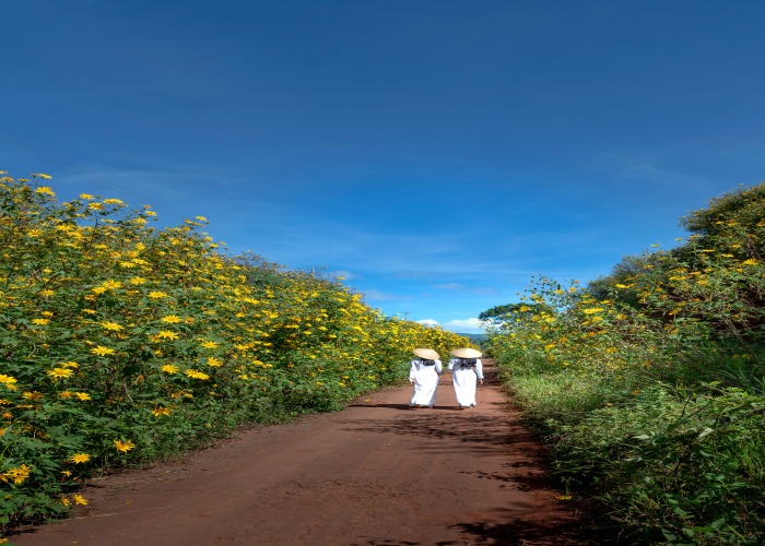 Grampians Wildflowers Walk – Tour & Trek Guide